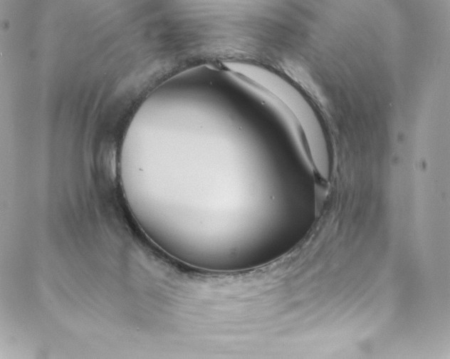 X0000088750021200706141739