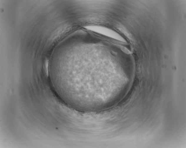 X0000088750022200706141739