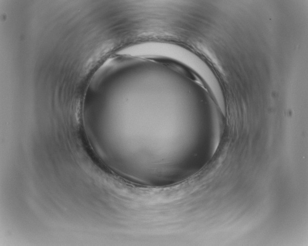 X0000088750023200706141739