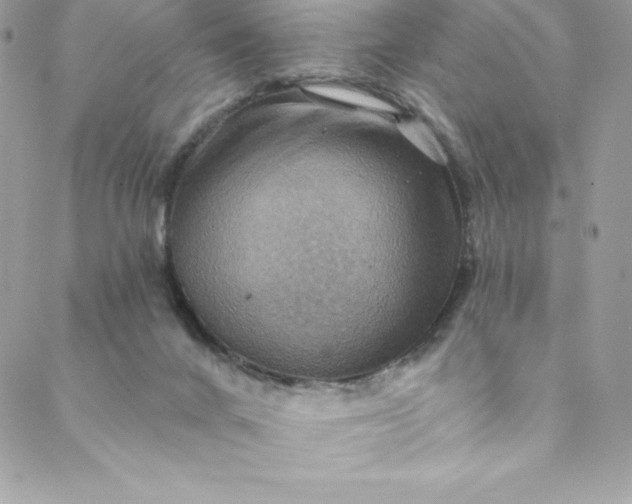 X0000088750024200706141739