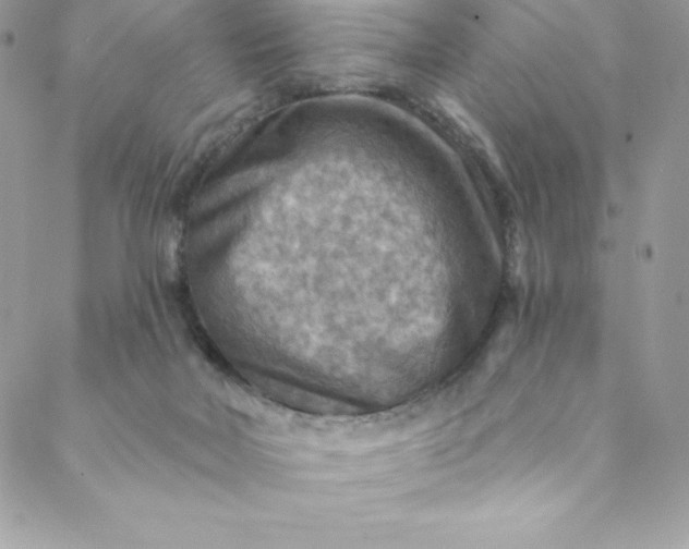 X0000088750026200706141739