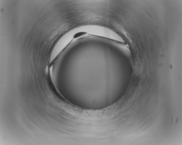 X0000088750027200706141739