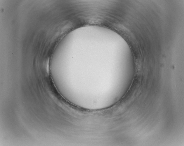 X0000088750028200706141739