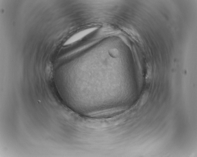 X0000088750029200706141739