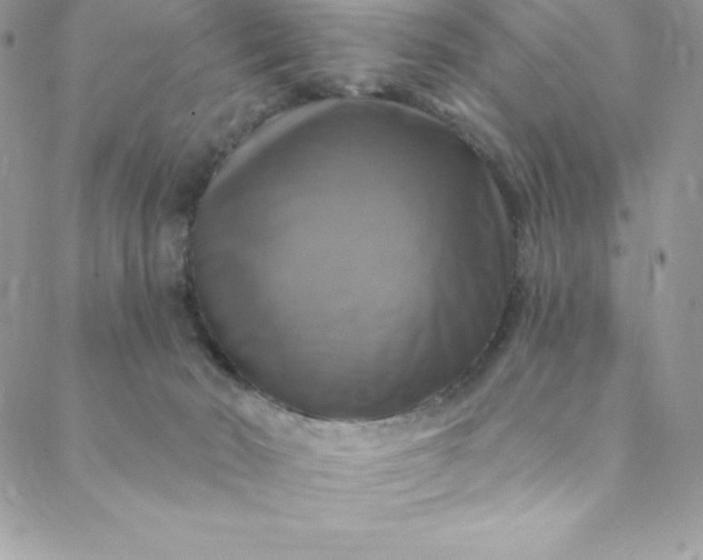 X0000088750030200706141739