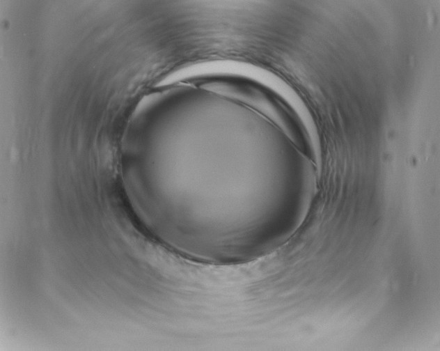 X0000088750031200706141739