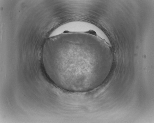 X0000088750032200706141739