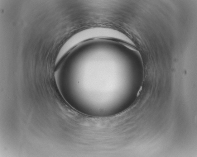 X0000088750033200706141739