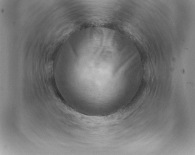 X0000088750034200706141739