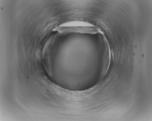 X0000088750035200706141739