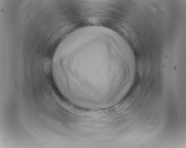 X0000088750036200706141739