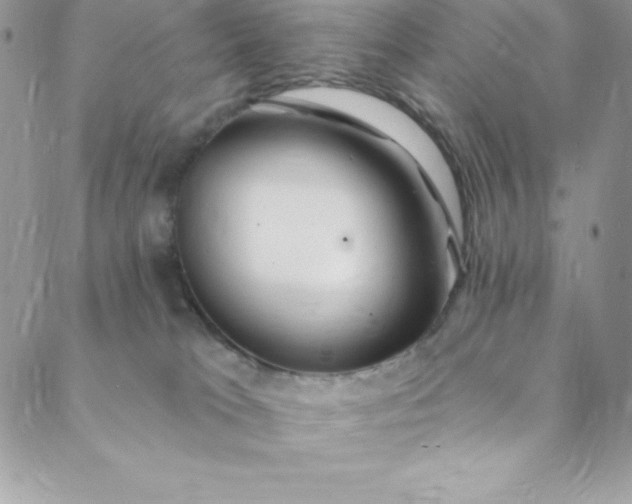 X0000088750037200706141739