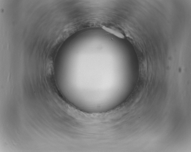 X0000088750038200706141739