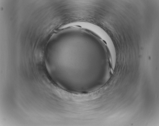 X0000088750039200706141739