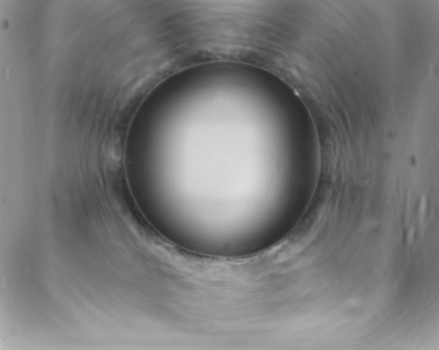 X0000088750040200706141739