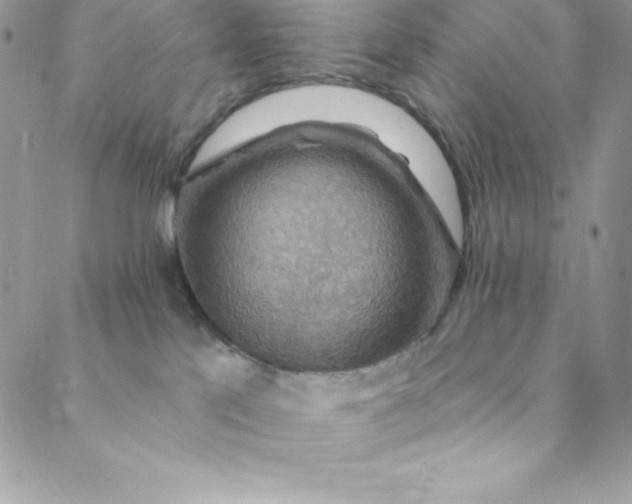 X0000088750041200706141739