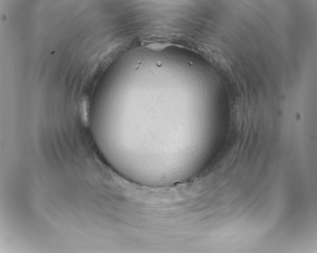 X0000088750042200706141739