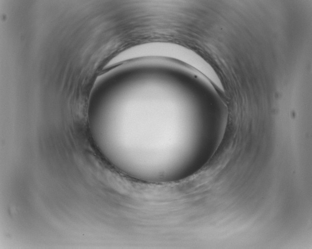 X0000088750044200706141739