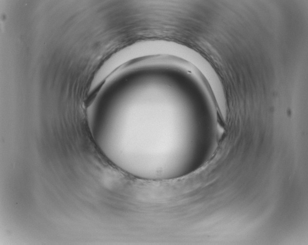 X0000088750045200706141739