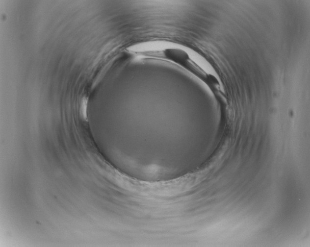 X0000088750046200706141739