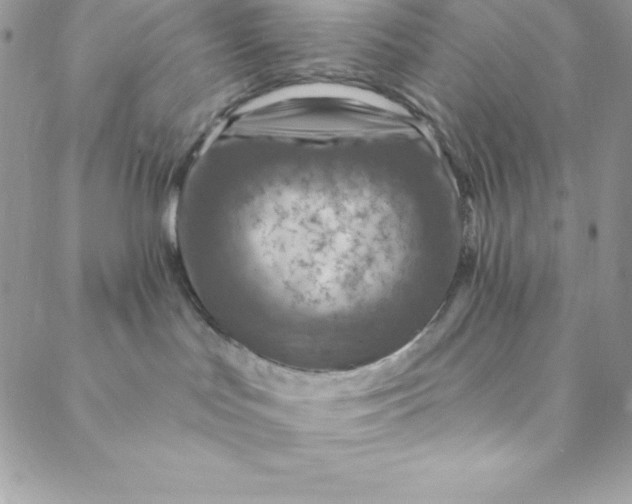 X0000088750047200706141739