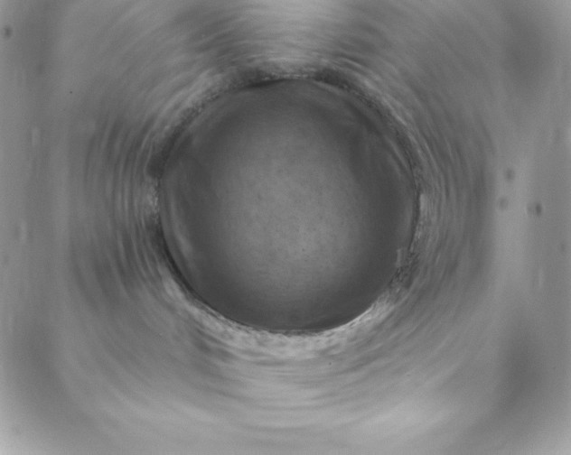 X0000088750048200706141739