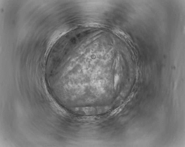 X0000088750049200706141738