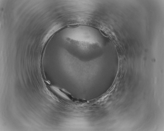 X0000088750051200706141738