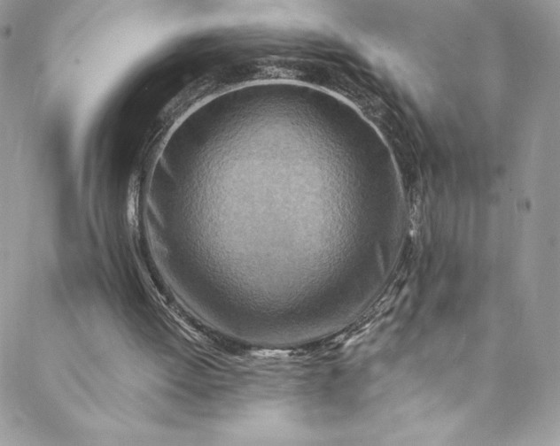 X0000088750052200706141738