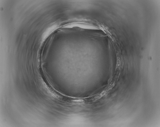 X0000088750053200706141738