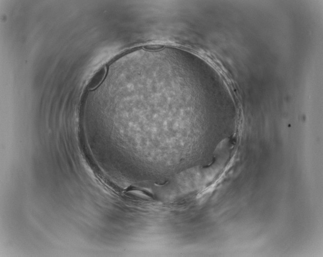 X0000088750055200706141738