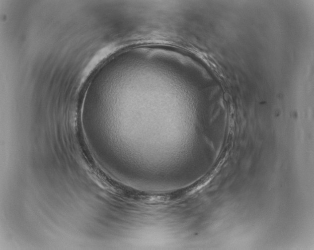 X0000088750056200706141738