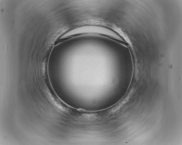 X0000088750057200706141738