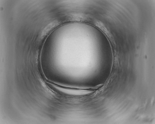 X0000088750058200706141738