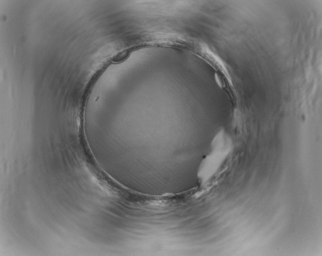 X0000088750059200706141738