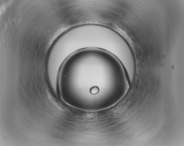 X0000088750060200706141738