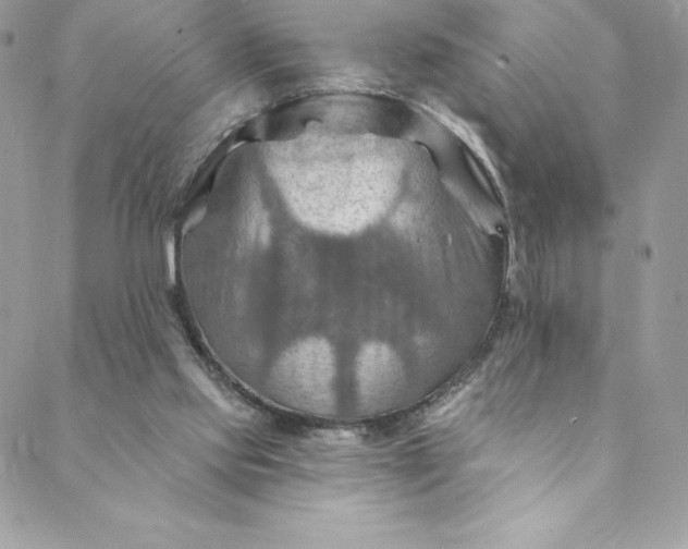 X0000088750061200706141738