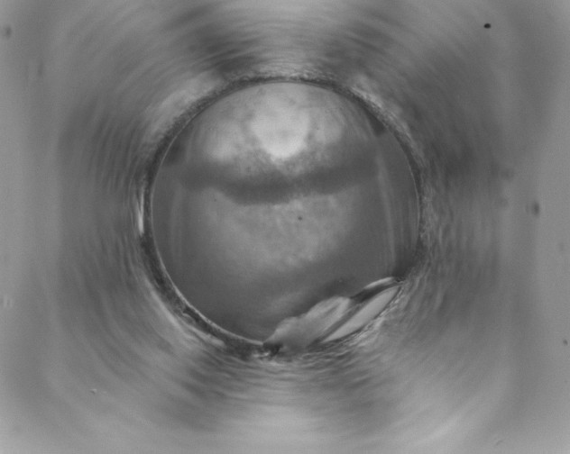 X0000088750062200706141738