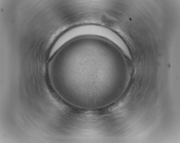 X0000088750064200706141738