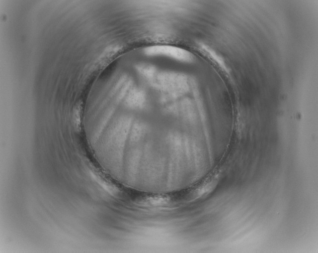 X0000088750065200706141738