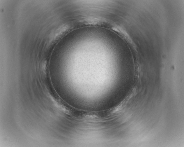 X0000088750066200706141738