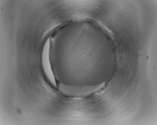 X0000088750067200706141738