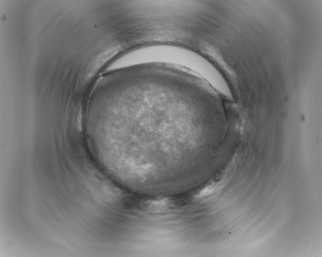 X0000088750068200706141738