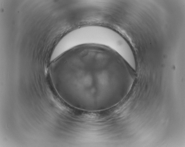 X0000088750069200706141738