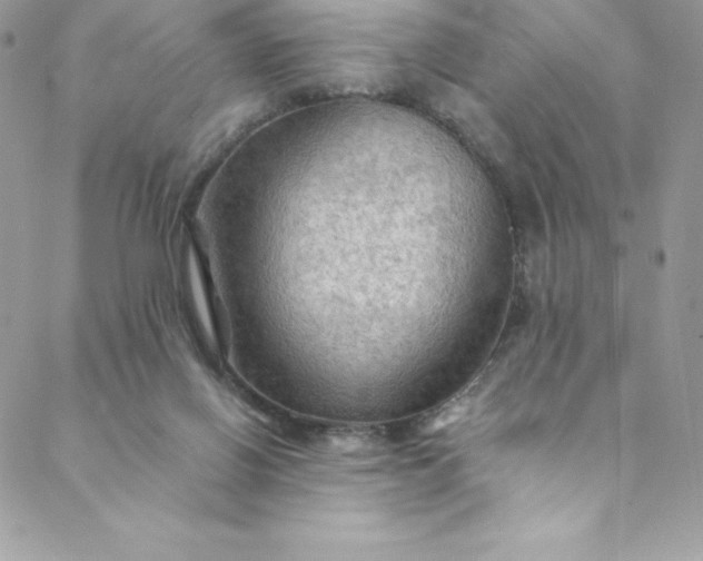 X0000088750070200706141738