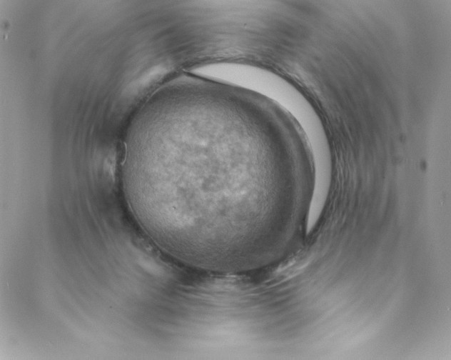 X0000088750072200706141738