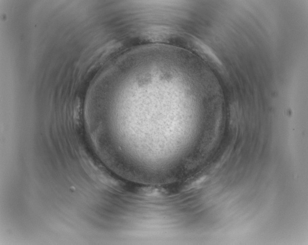 X0000088750073200706141739