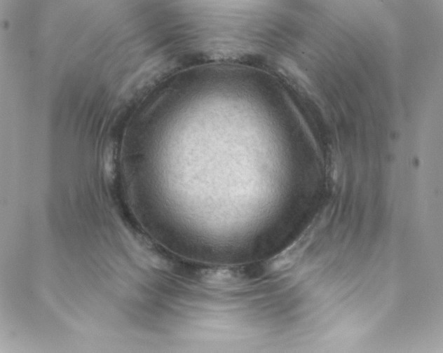 X0000088750074200706141739