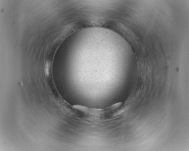 X0000088750075200706141739