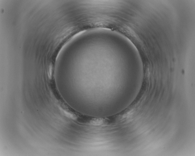 X0000088750076200706141739